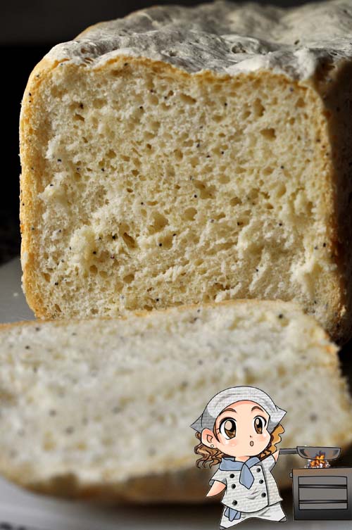 Las recetas de Glutoniana – Pan de molde clásico sin gluten (panificadora  Moulinex Home Bread Baguette)